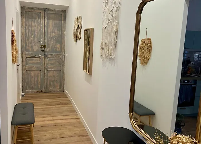 Sublime T3 Centre Ajaccio, Equipe Et Climatise * Ajaccio (Corsica)